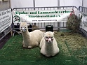 Heimtiermesse 2009   092